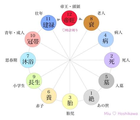 時 柱|四柱推命の十二運とは？年柱・月柱・時柱とあわせて。